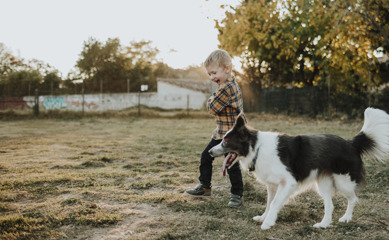 Vimian Dog And Boy
